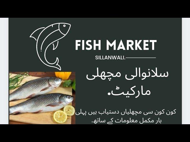 SILLANWALI#FISH MARKET#AMAZING FISH CUTTING SKILLS/4K/HD