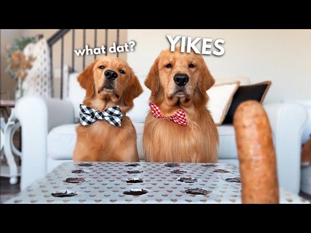My Dogs React to the Hot Dog Challenge