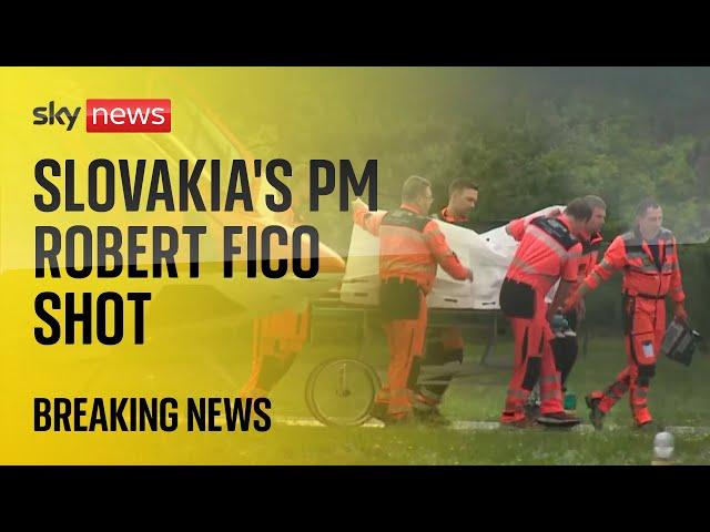Slovakia's prime minister undergoing surgery after being shot