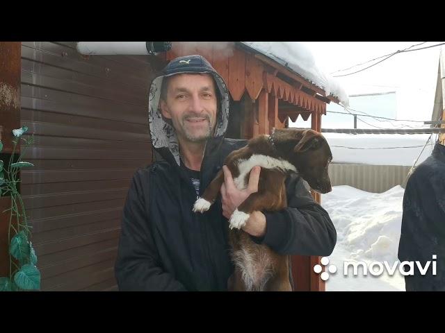 В гостях у Комаровых канал"Свиньи как бизнес", едем домой первый день.