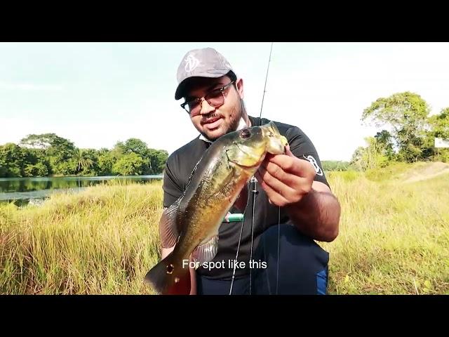 DevilCraft Fishing TV #67 - Peacock Bass, Perak