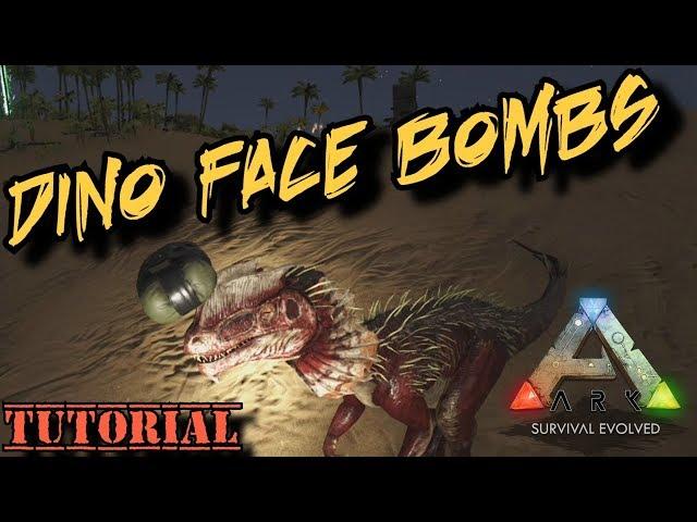 Dino Face Bombs - Trolling the official servers - Ark Survival Evolved