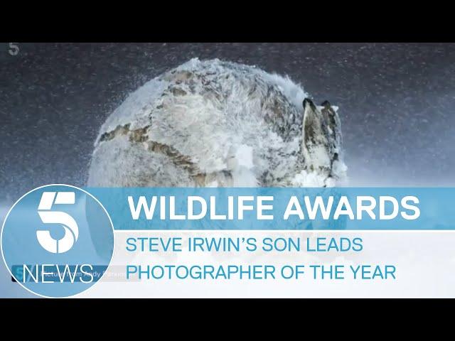 Steve Irwin's son Robert wins wildlife photography prize | 5 News