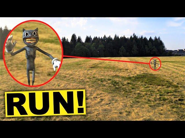 My DRONE caught CARTOON CAT on camera!! (CARTOON CAT SIGHTING CAUGHT ON DRONE)