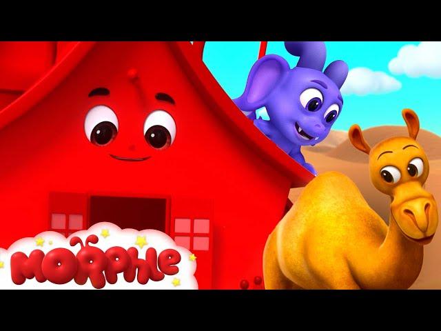 البيت السحري | كرتون للأطفال | قصص مورفل و ميلا - Magic HouseMorphle and Mila 3D