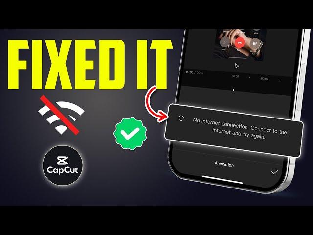 How to Fix No Internet Connection on CapCut (iPhone)