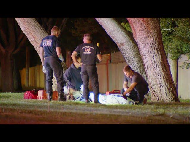 Man Found Fatally Shot at Family Park in Lancaster