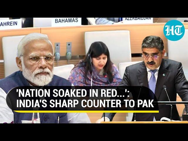 India Dresses Down Pak, Schools Turkey For Raking Up Kashmir At UNHRC Session | Watch