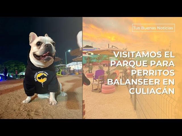 Así es el Parque Canino Balanseer Diseñado Especialmente Para Perritos en Culiacán.