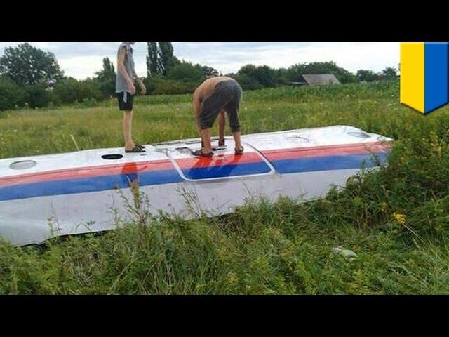 Malaysian Airlines plane crash: passenger jet shot down over Ukraine, 295 dead