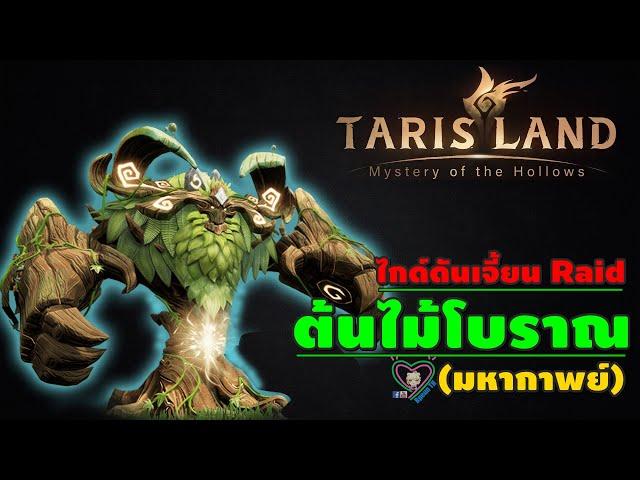 Tarisland ไกด์ดันเจี้ยน Raid ต้นไม้โบราณ (มหากาพย์)