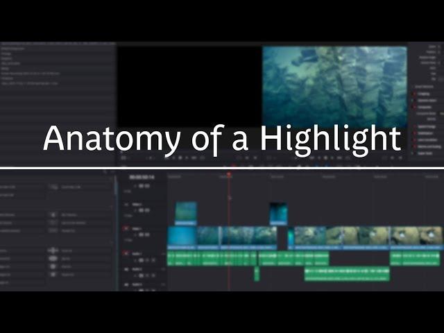 Beyond the Wow: The Anatomy of a Highlight | Nautilus Live