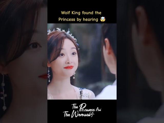 He will always find her #shorts  #theprincessandthewerewolf #wuxuanyi #chenzheyuan #cdrama