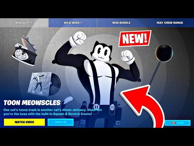 New TOON MEOWSCLES Pack!! (Fortnite Season 6)