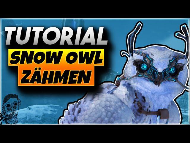  Ark Extinction Snow Owl Zähmen | Ark Survival Evolved