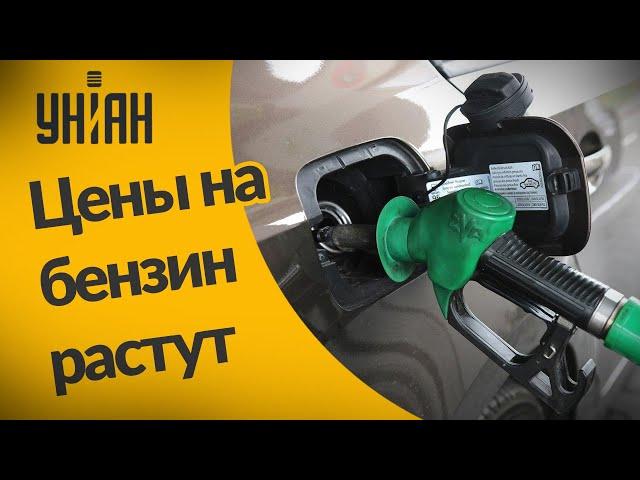 Цены на бензин в Украине продолжают расти