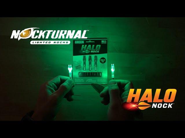 HALO NOCKS vs. NOCKTURNAL Lighted Nocks