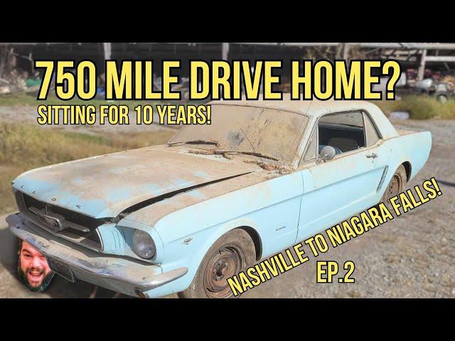 Reviving the BARN FIND 1965 Mustang! Road Trip from Nashville to Niagara Falls!