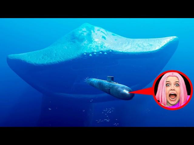 urgent! EL GRAN MAYA and BLOOPS attacked my submarine in Real Life!!