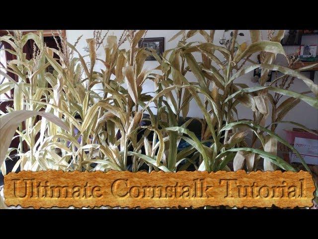 Ultimate Fake Cornstalk Tutorial!!