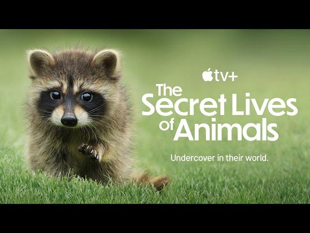 The Secret Lives of Animals | Official Trailer | BBC Studios