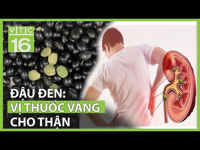 Đậu đen - "Thần dược" cho người thận yếu | VTC16