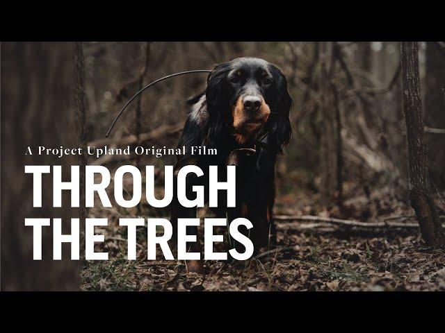 Woodcock Hunting with Gordon Setters - Project Upland Magazine with Stephen Faust