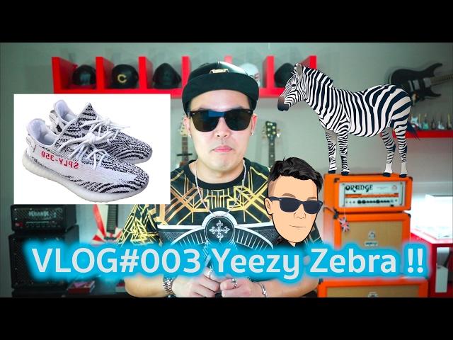 Zebra Boost เจ้ารองเท้าตัวป่วน - A Day With Goody (VLOG#003)