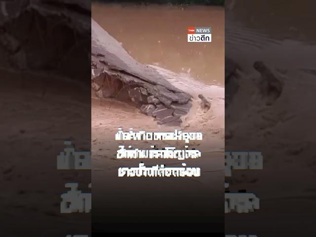 "ชัยภูมิ" ระทึกอีก ฝายเก็บน้ำแตก ฝนถล่ม 2 วันติด | TNN ข่าวดึก | 17 ก.ค. 67