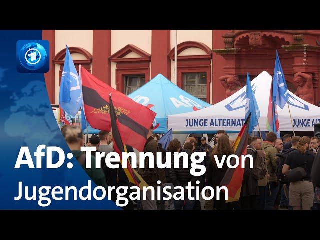 AfD will sich von der „Jungen Alternative“ trennen