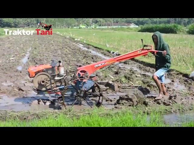 Bajak Sawah