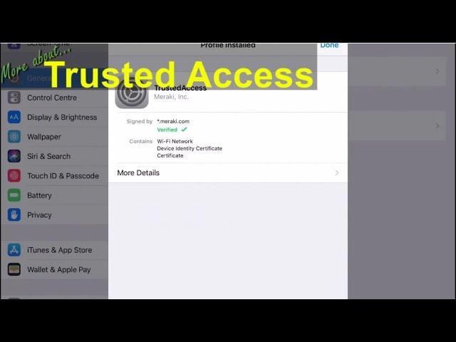 Trusted Access