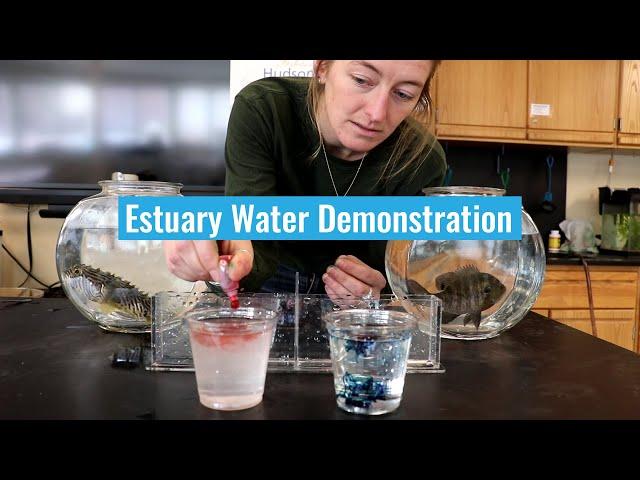 Estuary Water Demonstration