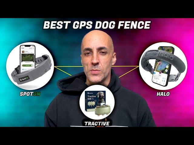 Best GPS Dog Fence of 2024 (Which One is the Best?)