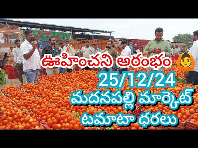 25/12/24 Madanapalle Tomato Market Price Today || Today Tomato Market Rate In Madanapalle #today