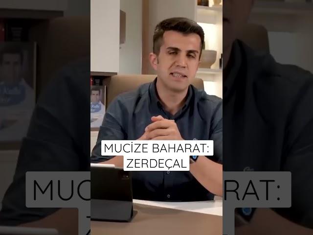 Mucize Baharat: Zerdeçal