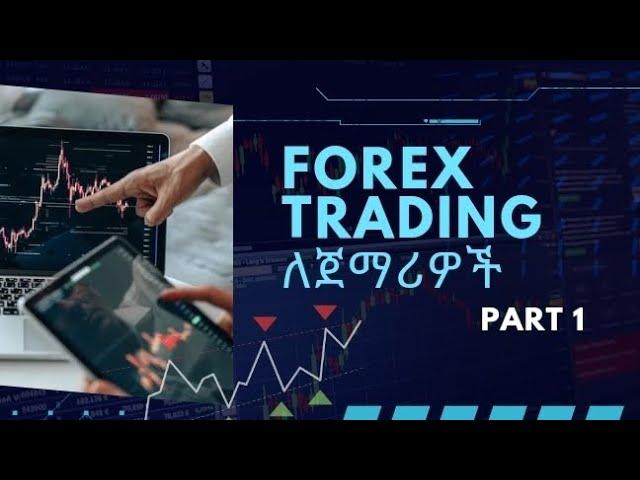 Introduction to Forex trading | Beginner's guide in Amharic