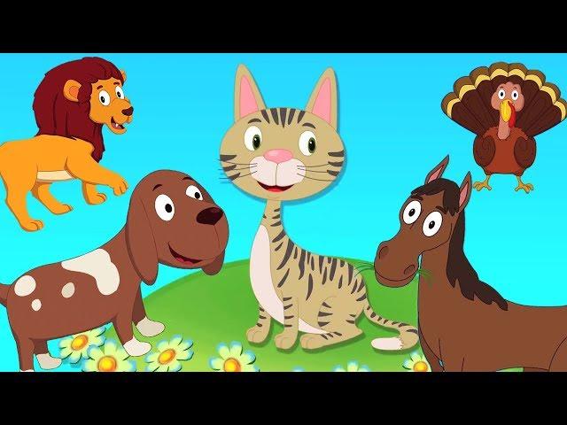 Животное звук песня | узнать звук животных | Kids Rhymes | Animal Sound Song