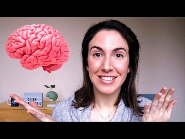 ¿Cómo funciona el cerebro? – Neurociencia para todos los públicos.