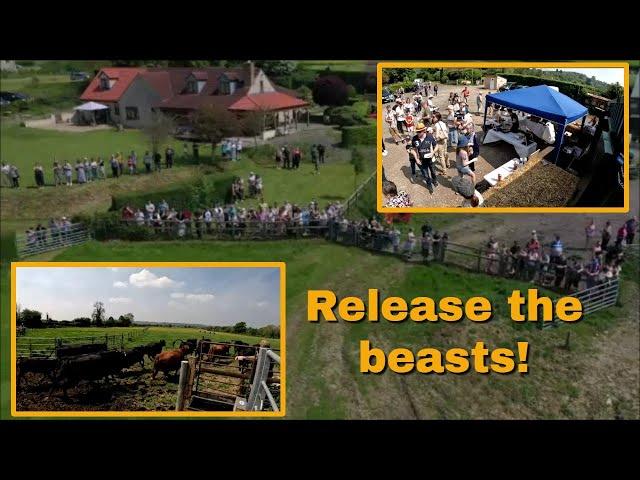 11/05/24  Release the beasts!