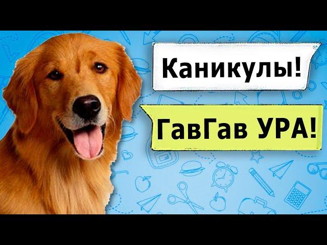 ЕСЛИ БЫ У ЖИВОТНЫХ БЫЛИ КАНИКУЛЫ