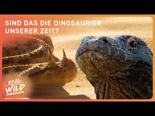Die giftigsten und tödlichsten Tiere | Doppelfolge 'Wildes Überleben' | Real Wild Deutschland