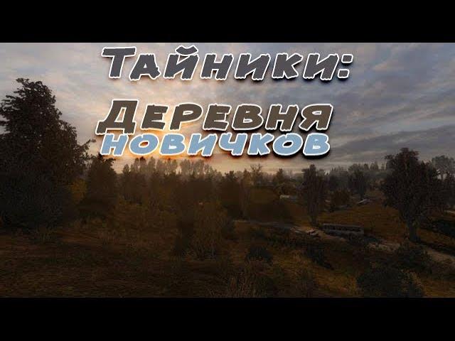 Сталкер . Путь человека . Шаг в неизвестность . Дежавю. Тайники на Кордоне. В деревне новичков.