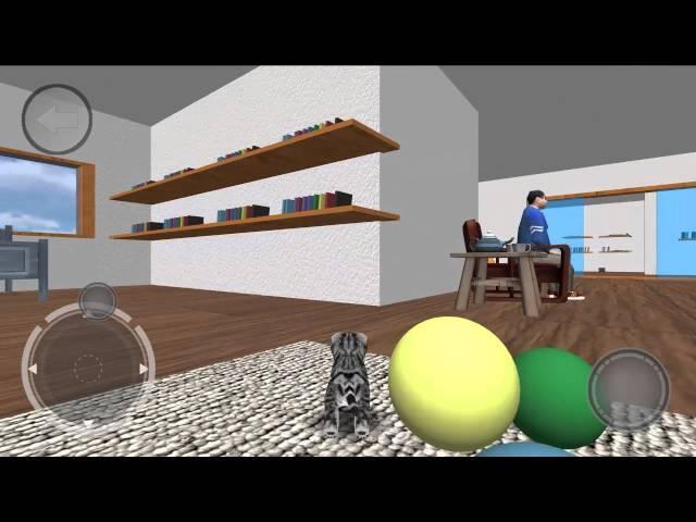 cat simulator ANDROID IOS