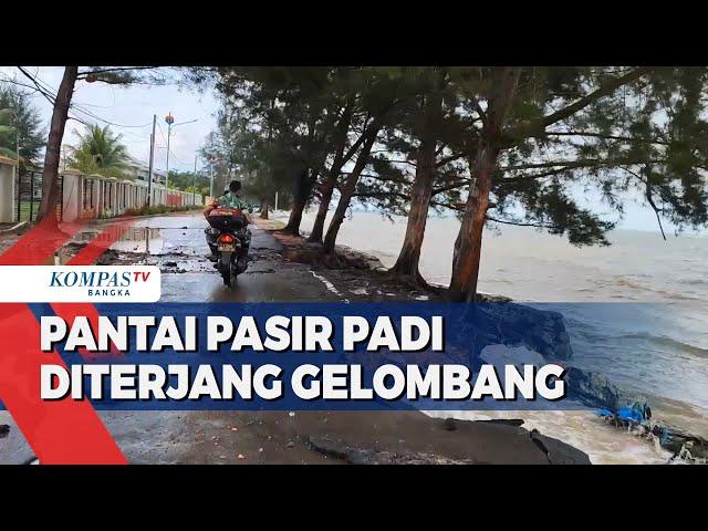 Pantai Pasir Padi Pangkalpinang Diterjang Gelombang Pasang