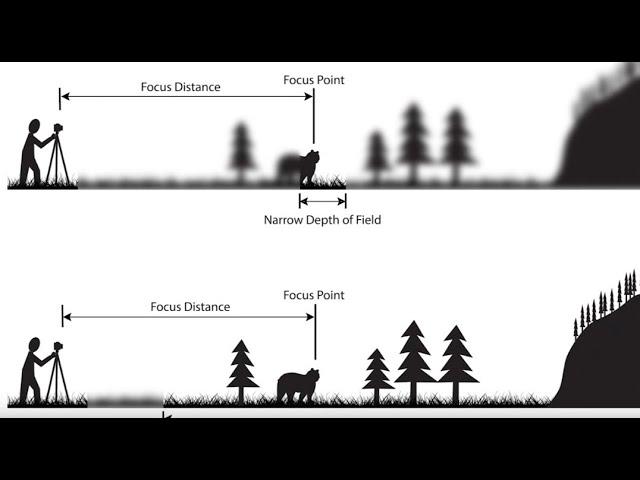 Depth of Field: An Easy Overview (2023)