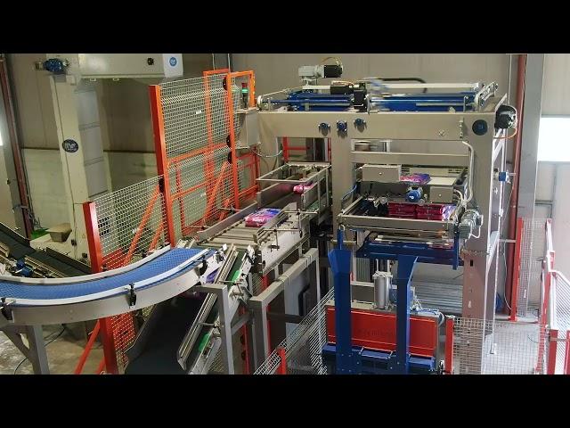 Multi - Machine packaging system for dry pet food in all formats