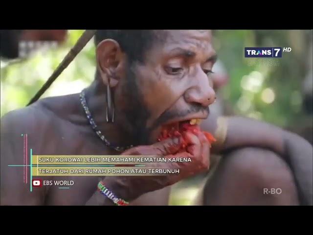 suku pedalaman makan daging manusia