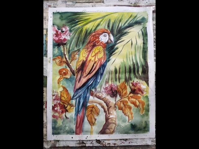 Beautiful Bird #watercolor #parrot #bigginers#art #painting #shortvideo #shorts #short #ytshorts