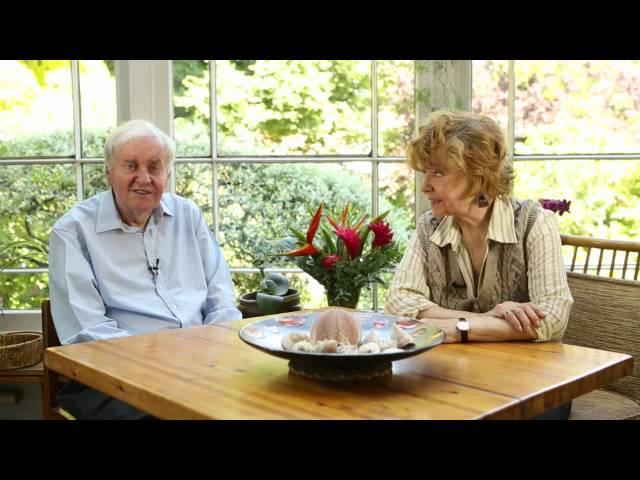 Marriage Lines starring Prunella Scales and Richard Briers